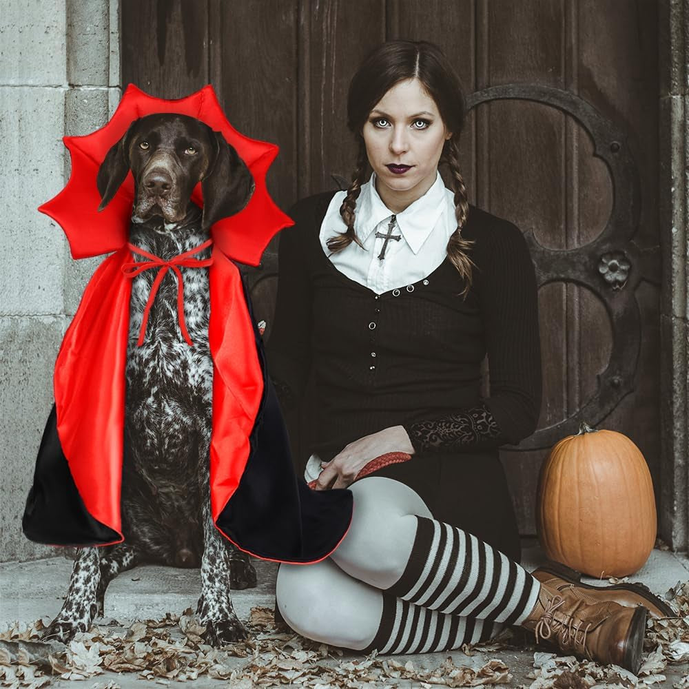 Halloween Dog Costume Vampire Devil Cape for M or L Dogs Adjustable Cloak