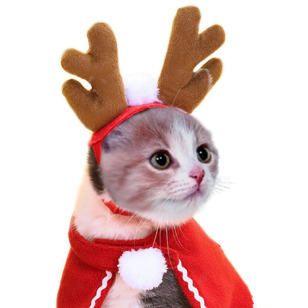 Holiday Santa Hat & Scarf Pet Costume Set | Festive Winter Cosplay for Cats & Small Dogs
