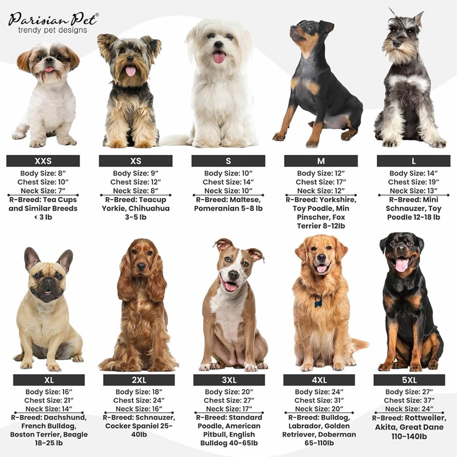 Dog Halloween Costume - Security Halloween Shirt for Dogs