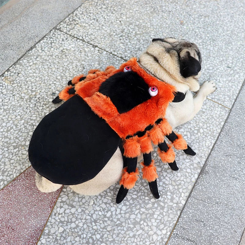 Halloween Red-Eyed Spider Pet Costume | Lightweight Harness-Style Transformation Outfit for Cats & Small Dogs
