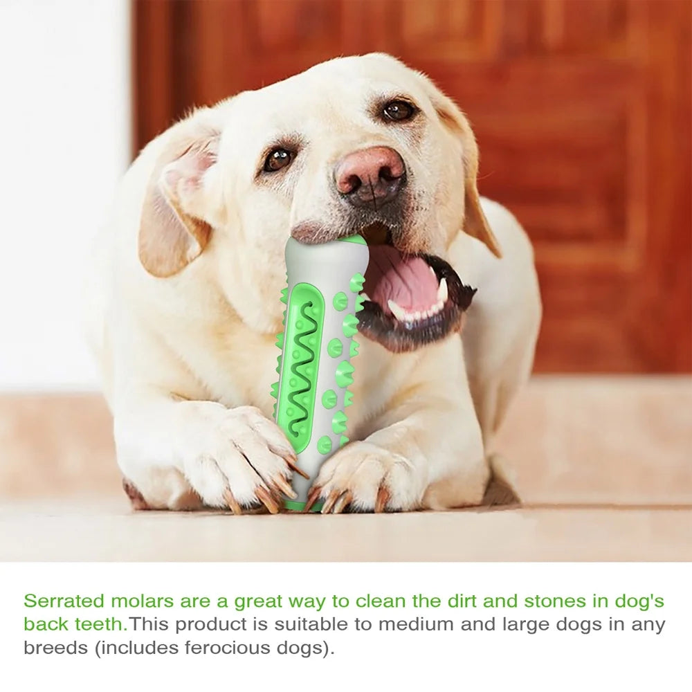 Rubber Dog Molar Toothbrush Toys Chew Cleaning Teeth Safe Puppy Dental Care Soft Pet Cleaning Toy Supplies Pet Accessories Green