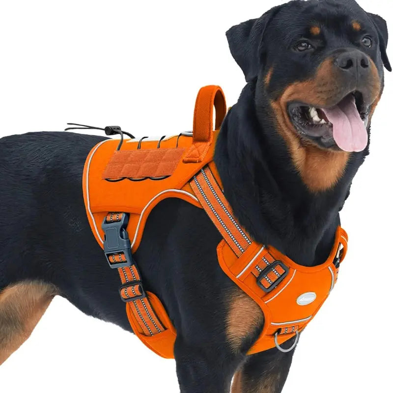 AUROTH Nylon Mesh Tactical Dog Harness Vest - Security, Law Enforcement, Service Use, Small-Large Dogs, Durable Reflective, Easy Control, No-Pull Adjustable Walking Pet Supply