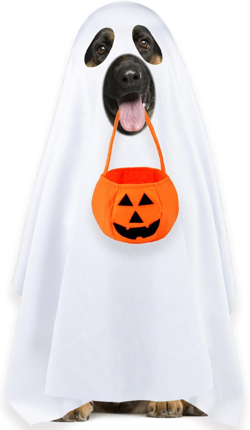 Ghost Sheet Dog Halloween Costume with Pumpkin Candy Bag