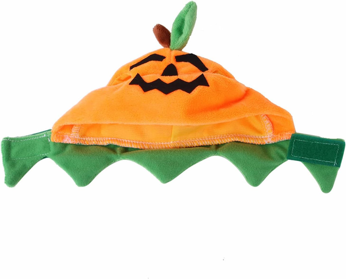 Halloween Pumpkin Cat Hat Costume