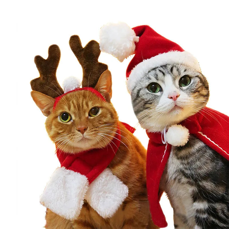 Holiday Santa Hat & Scarf Pet Costume Set | Festive Winter Cosplay for Cats & Small Dogs