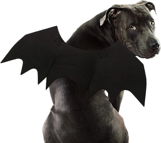 Dog Bat Wings Halloween Costume