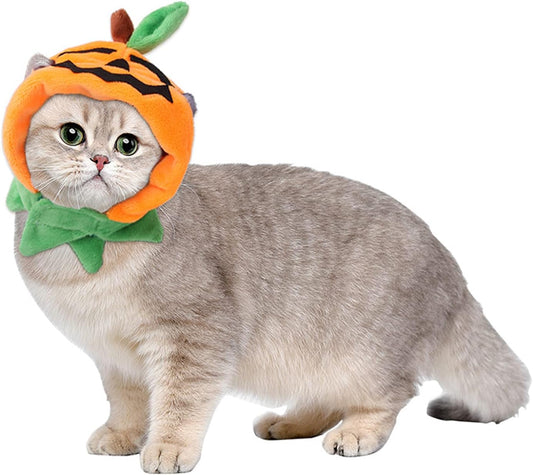 Halloween Pumpkin Cat Hat Costume