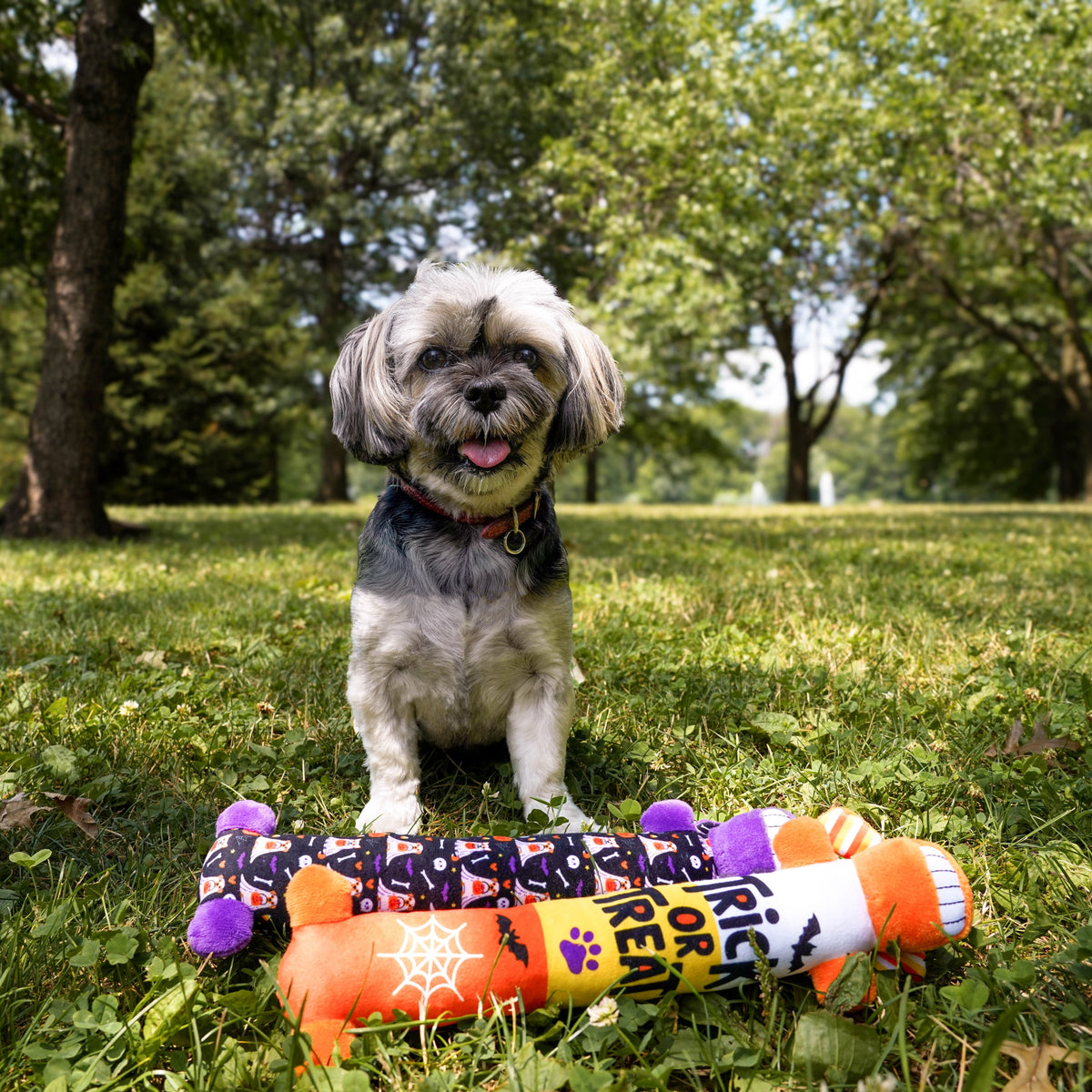 Halloween 12” Smiling Dog 2Pc Dog Toy Value Pack