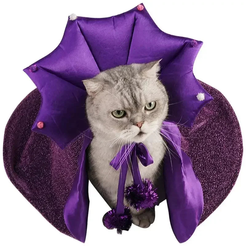 Cat Wizard Witch Halloween Costume with Hat
