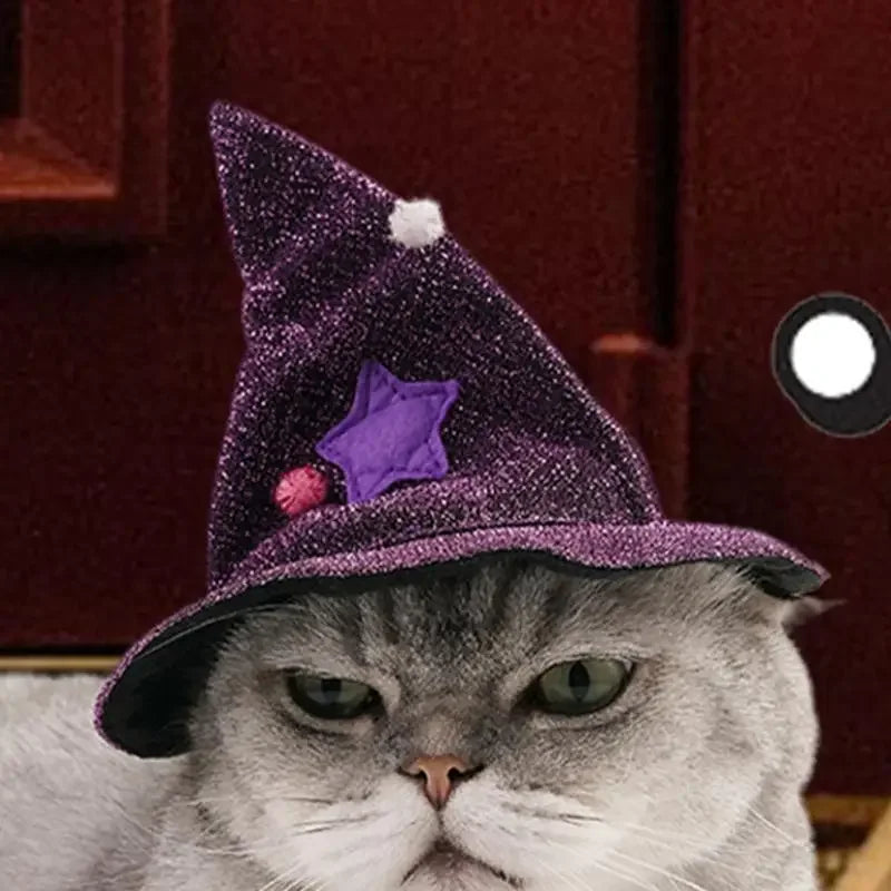 Cat Wizard Witch Halloween Costume with Hat