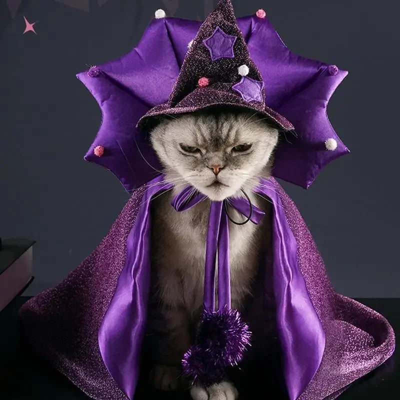 Cat Wizard Witch Halloween Costume with Hat