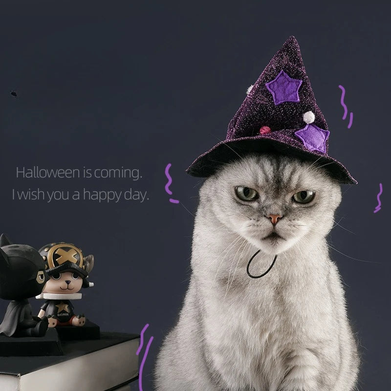 Purple Star Witch Cloak Halloween Pet Costume