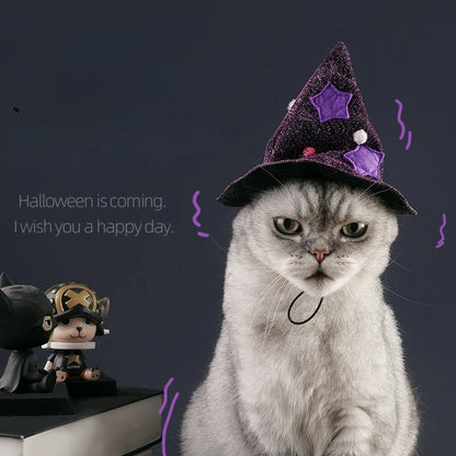 Purple Star Witch Cloak Halloween Pet Costume