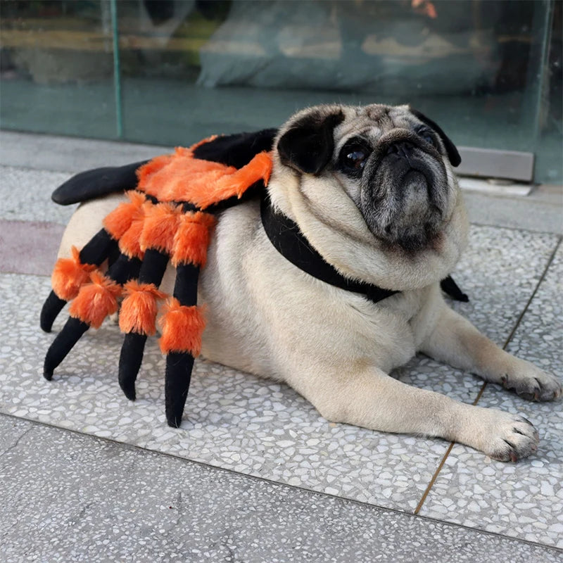 Halloween Red-Eyed Spider Pet Costume | Lightweight Harness-Style Transformation Outfit for Cats & Small Dogs
