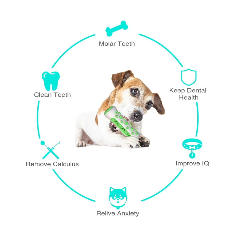 Rubber Dog Molar Toothbrush Toys Chew Cleaning Teeth Safe Puppy Dental Care Soft Pet Cleaning Toy Supplies Pet Accessories Green