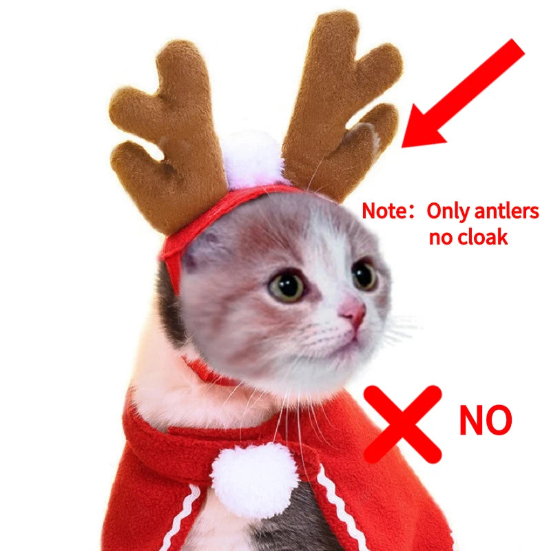 Holiday Santa Hat & Scarf Pet Costume Set | Festive Winter Cosplay for Cats & Small Dogs
