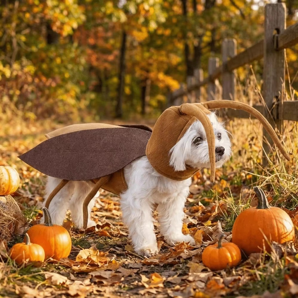 Realistic Pet Cockroach Cosplay Costume Funny with Wing Cat Cosplay Clothes Creative Costume Pranks Outfit Small Dogs