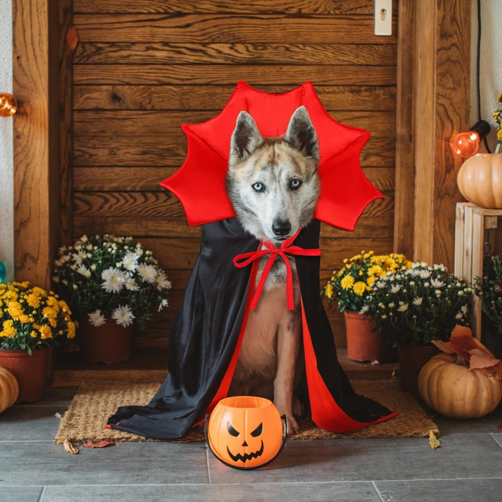Halloween Dog Costume Vampire Devil Cape for M or L Dogs Adjustable Cloak