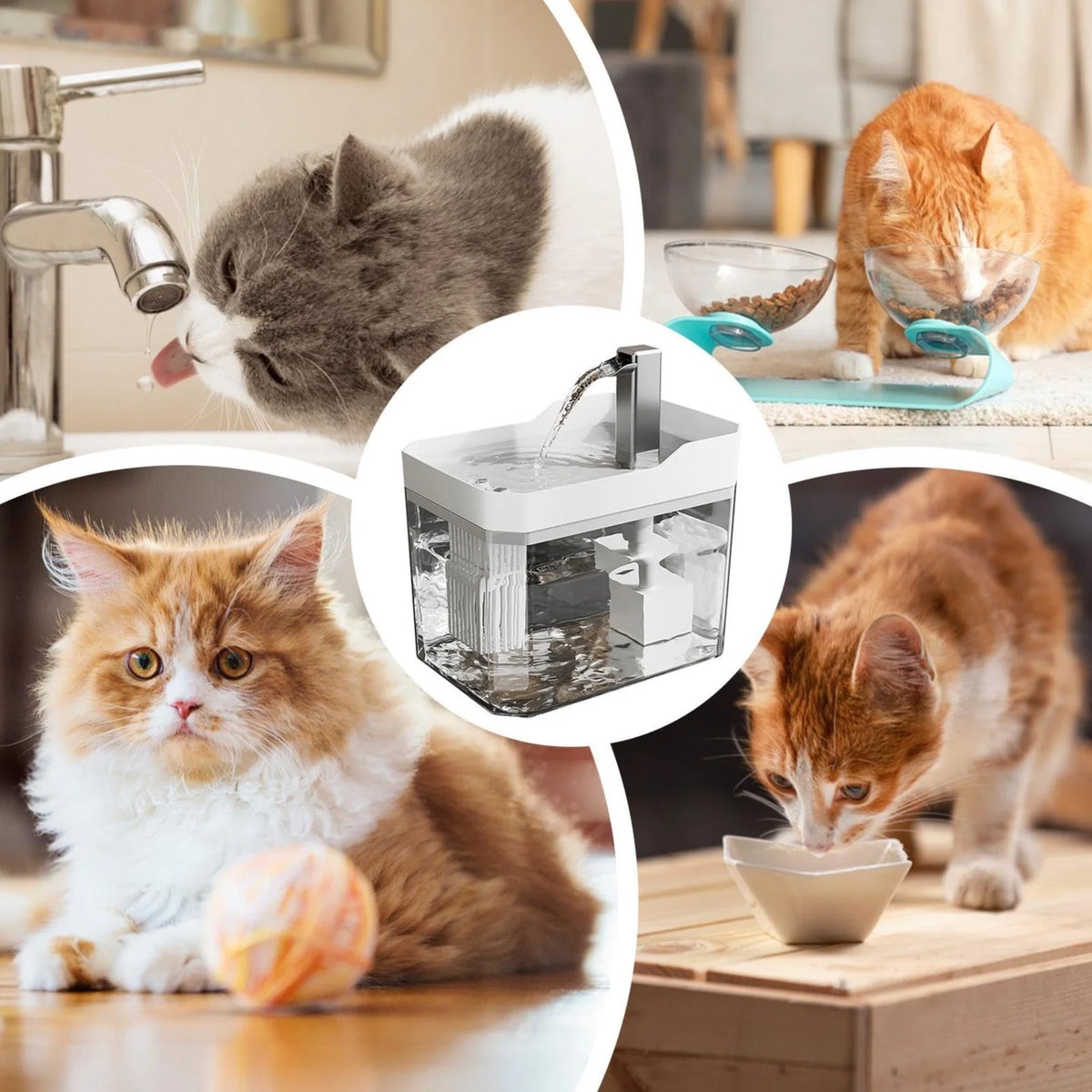 Automatic Pet Water Dispenser Silent Circulating Fountain for Cats Dogs Pet Water Fountain Cat Water Fountain Dog Water Fountain Pet Fountain