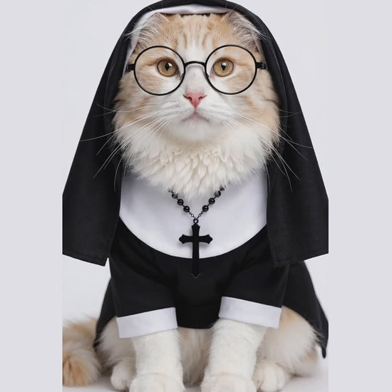 hover video - cat in nun costume