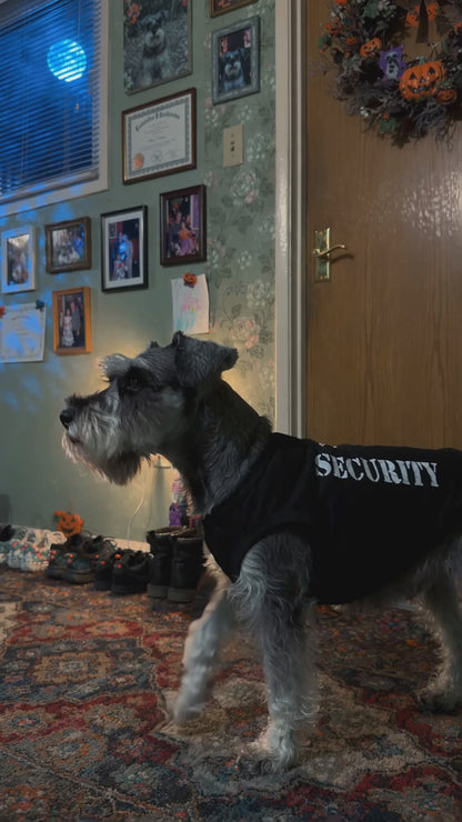Dog wearing the security Halloween shirt